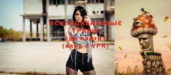 экстази Богданович