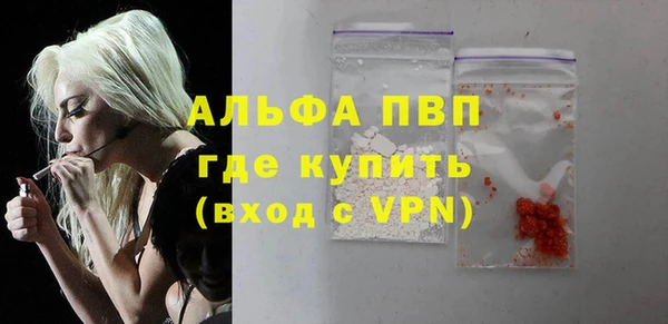 прущие грибы Богородск