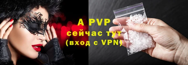 прущие грибы Богородск